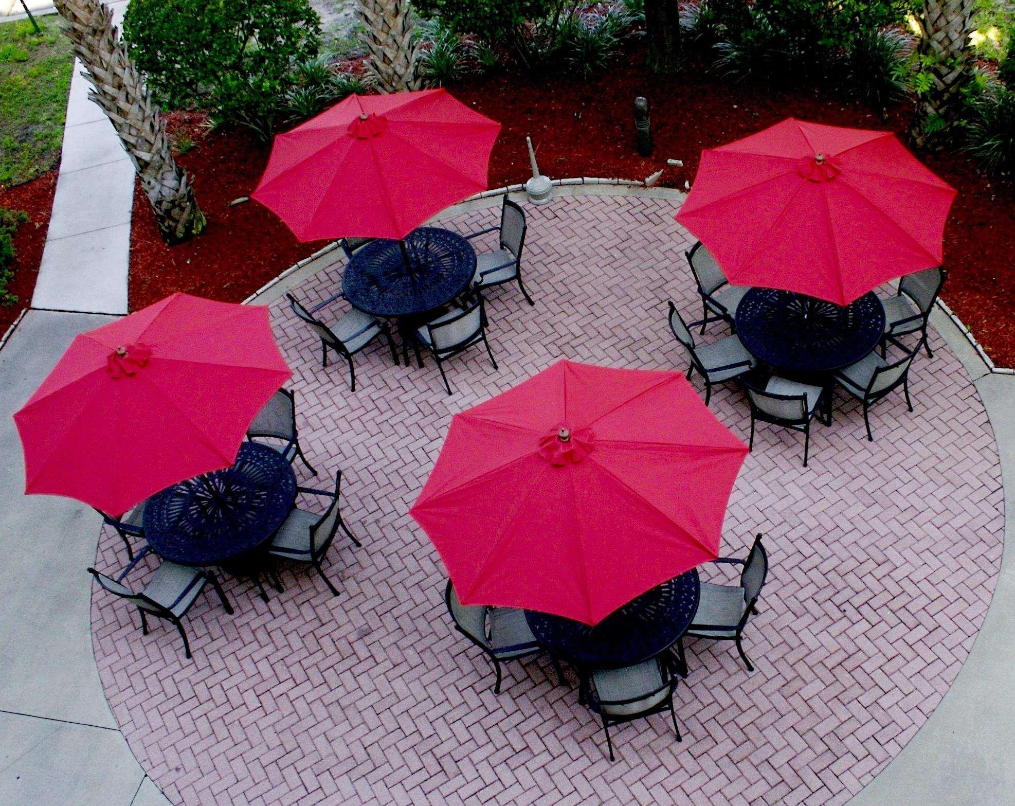 Hilton Garden Inn Tampa North Temple Terrace Restaurace fotografie